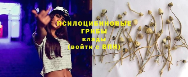 каннабис Алзамай
