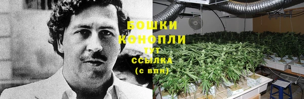каннабис Алзамай